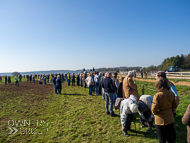 FB260322-13 - Fergal O'Brien Stable Visit